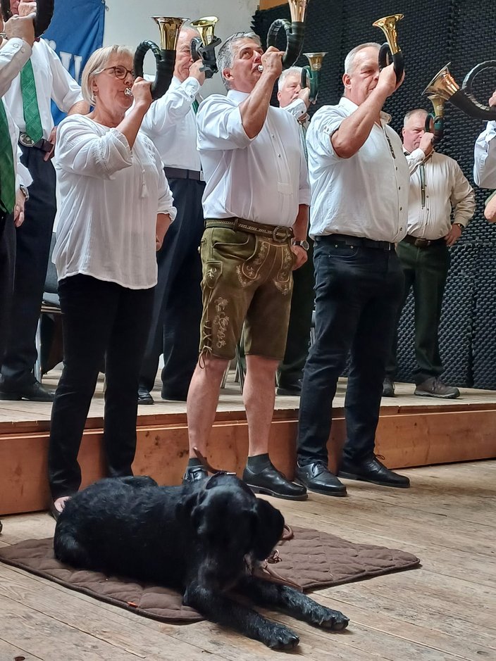 Eine Gruppe von Menschen spielt Hörner, während ein schwarzer Hund auf einer Decke auf Holzboden liegt. Die Personen tragen weiße Hemden in einem Raum mit Holzboden.