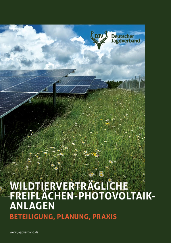 pdf-preview