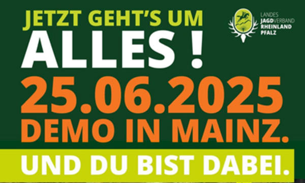 Menschenmenge geht marschierend durch die Straße, hält Schilder hoch. Text: „JETZT GEHT’S UM ALLES! 25.06.2025 DEMO IN MAINZ. UND DU BIST DABEI.“ Weitere Details: Marschbeginn um 11 Uhr, QR-Code vorhanden.