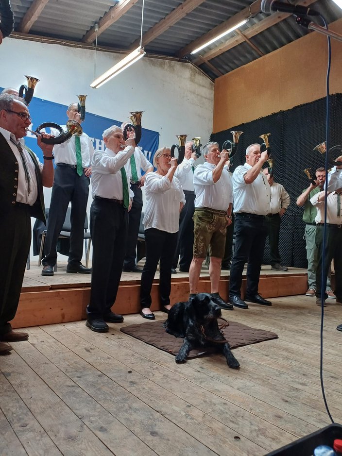 Mehrere Menschen blasen auf Waldhörnern auf einer Bühne; sie tragen formelle Kleidung. Ein schwarzer Hund liegt auf einer Decke am Boden. Im Hintergrund hängt ein blaues Banner mit unleserlichem Text.