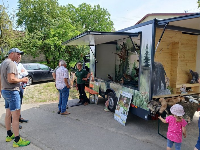 Anhänger zeigt ausgestopfte Tiere und Bilder, umgeben von interessierten Menschen. Ein Plakat mit "Steinmarder" und Tierinformationen steht vorne. Hintergrund: Bäume und ein Auto.